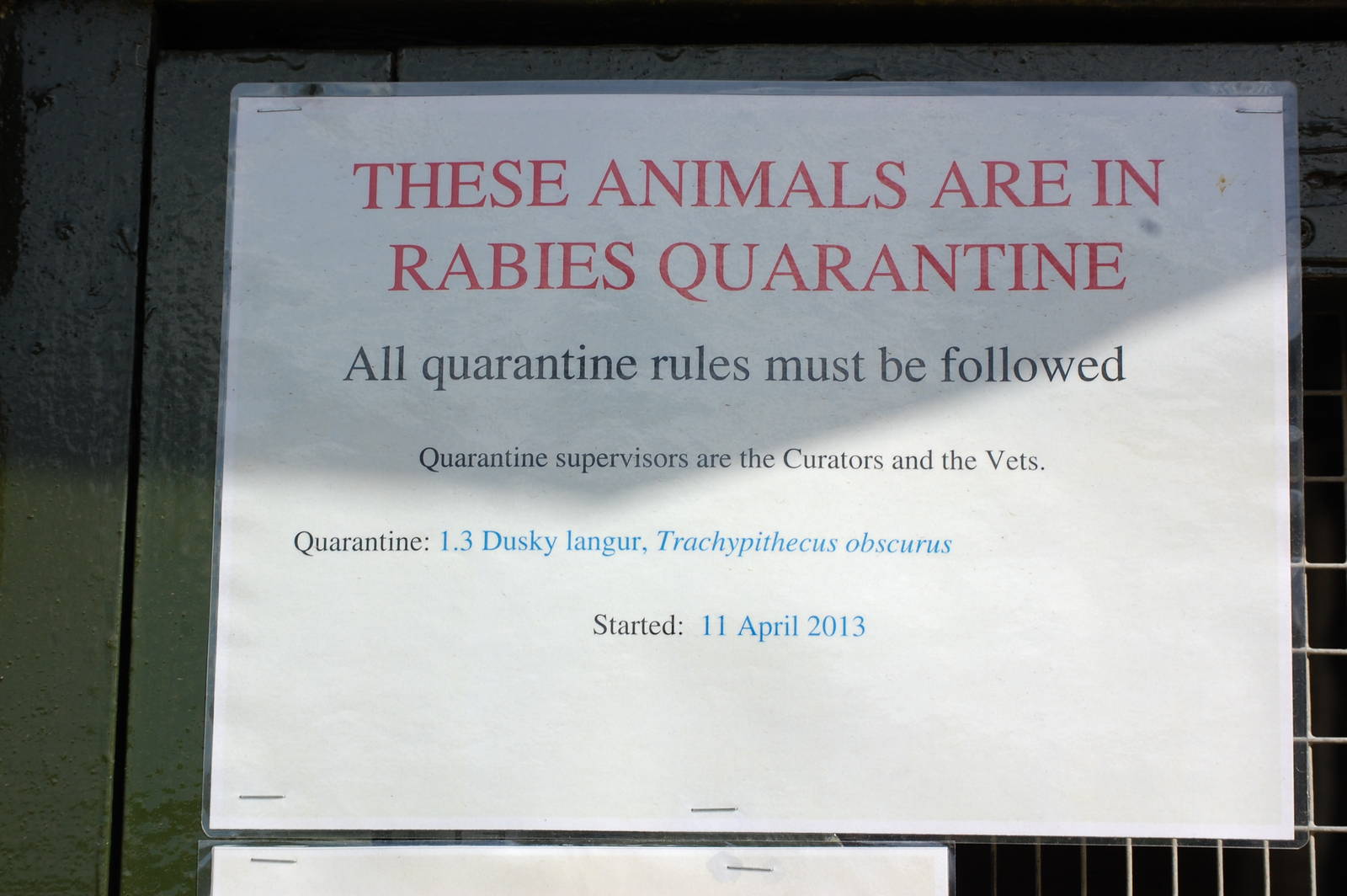 Dusky Langur sign Rabies