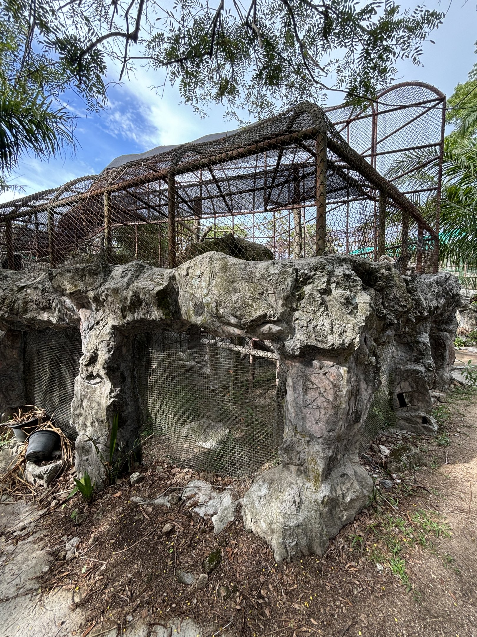 Dusky Leaf Monkey Exhibit (rear view)