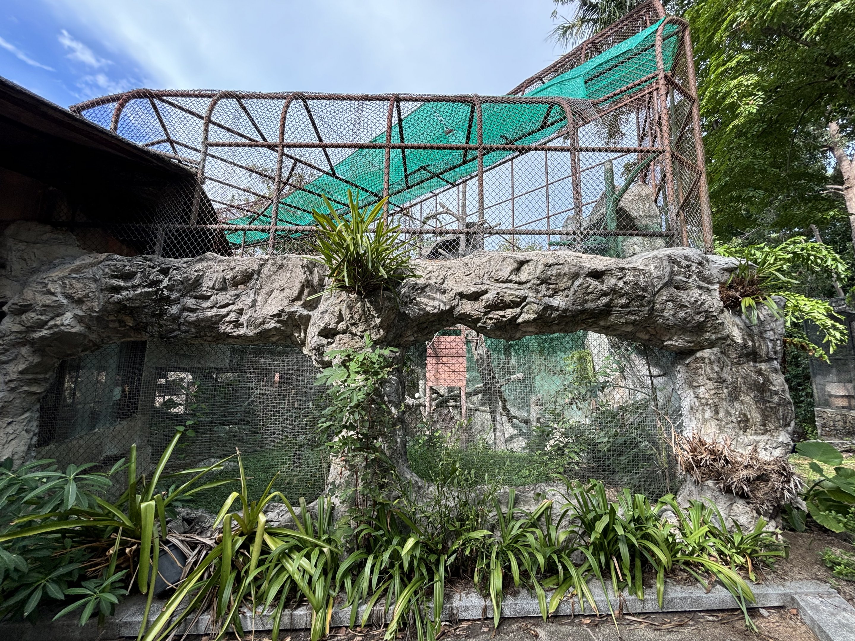 Dusky Leaf Monkey Exhibit