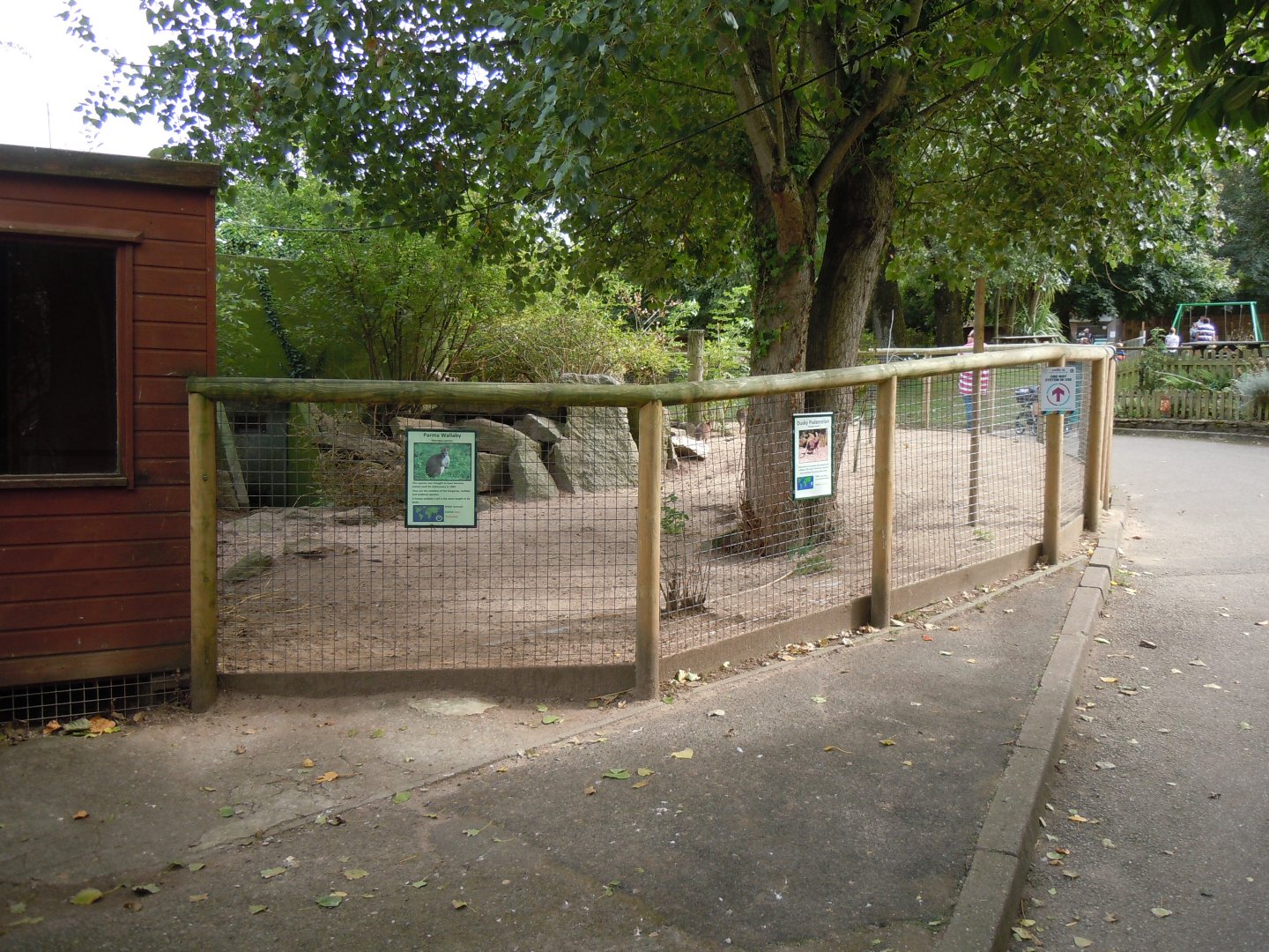 Dusky pademelon and Parma wallaby enclosure 070920