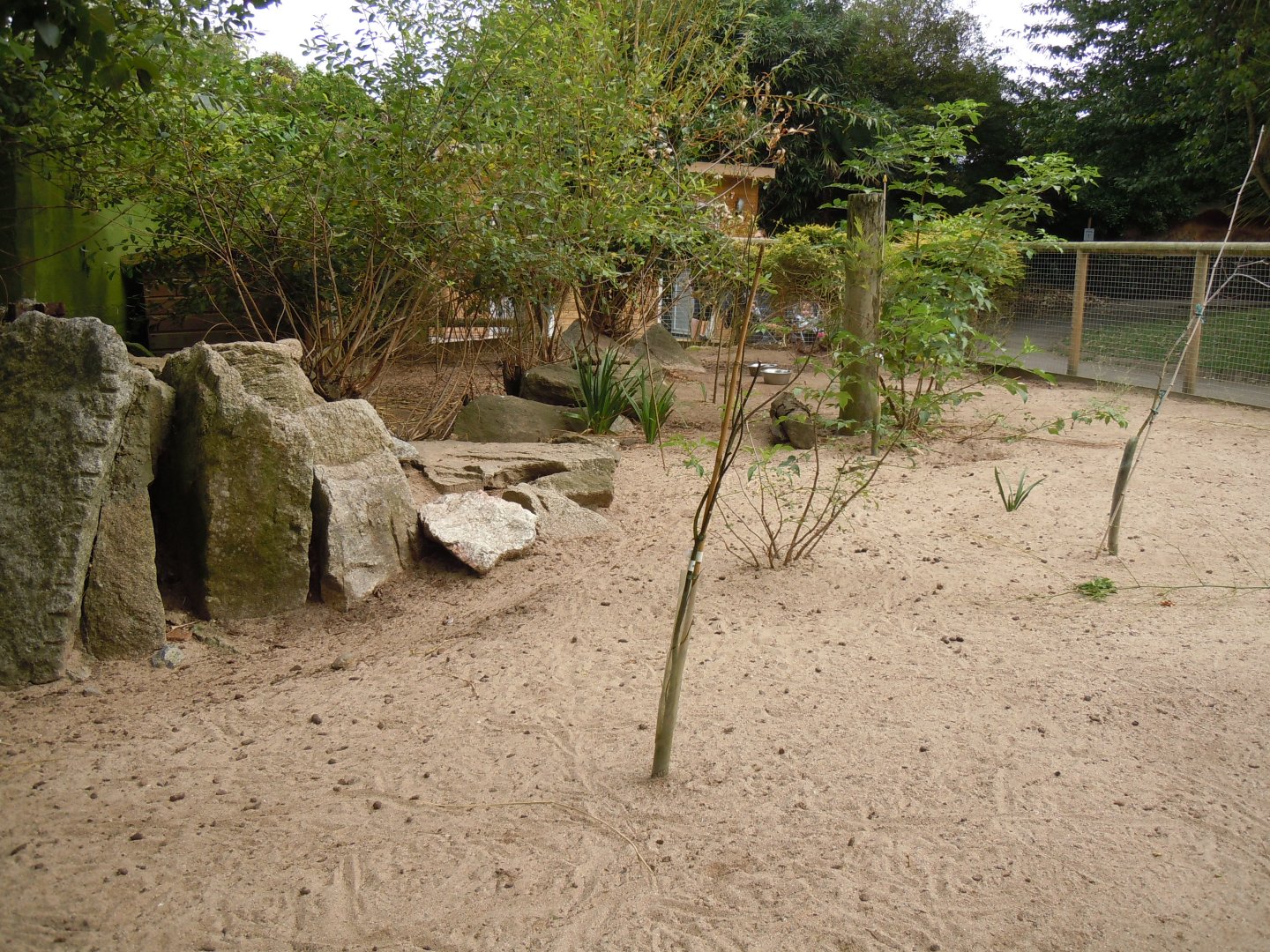 Dusky pademelon and Parma wallaby enclosure 070920