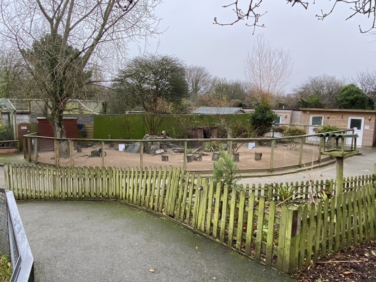 Dusky pademelon and Parma wallaby enclosure 111221