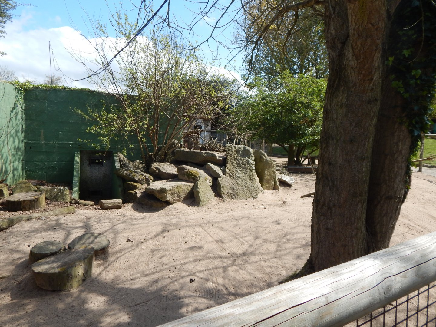 Dusky pademelon and Parma wallaby exhibit 240424