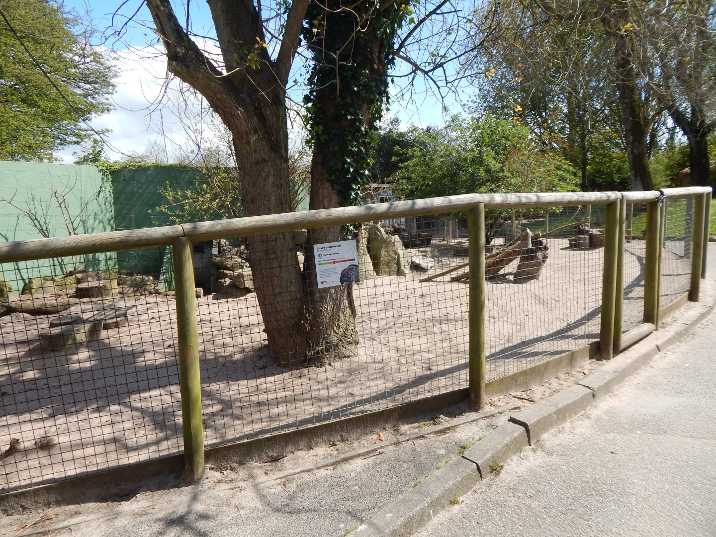 Dusky pademelon and Parma wallaby exhibit 240424