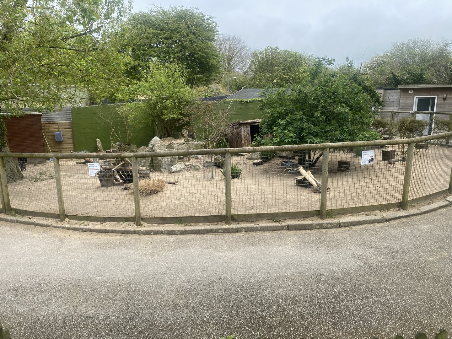 Dusky pademelon enclosure 060523