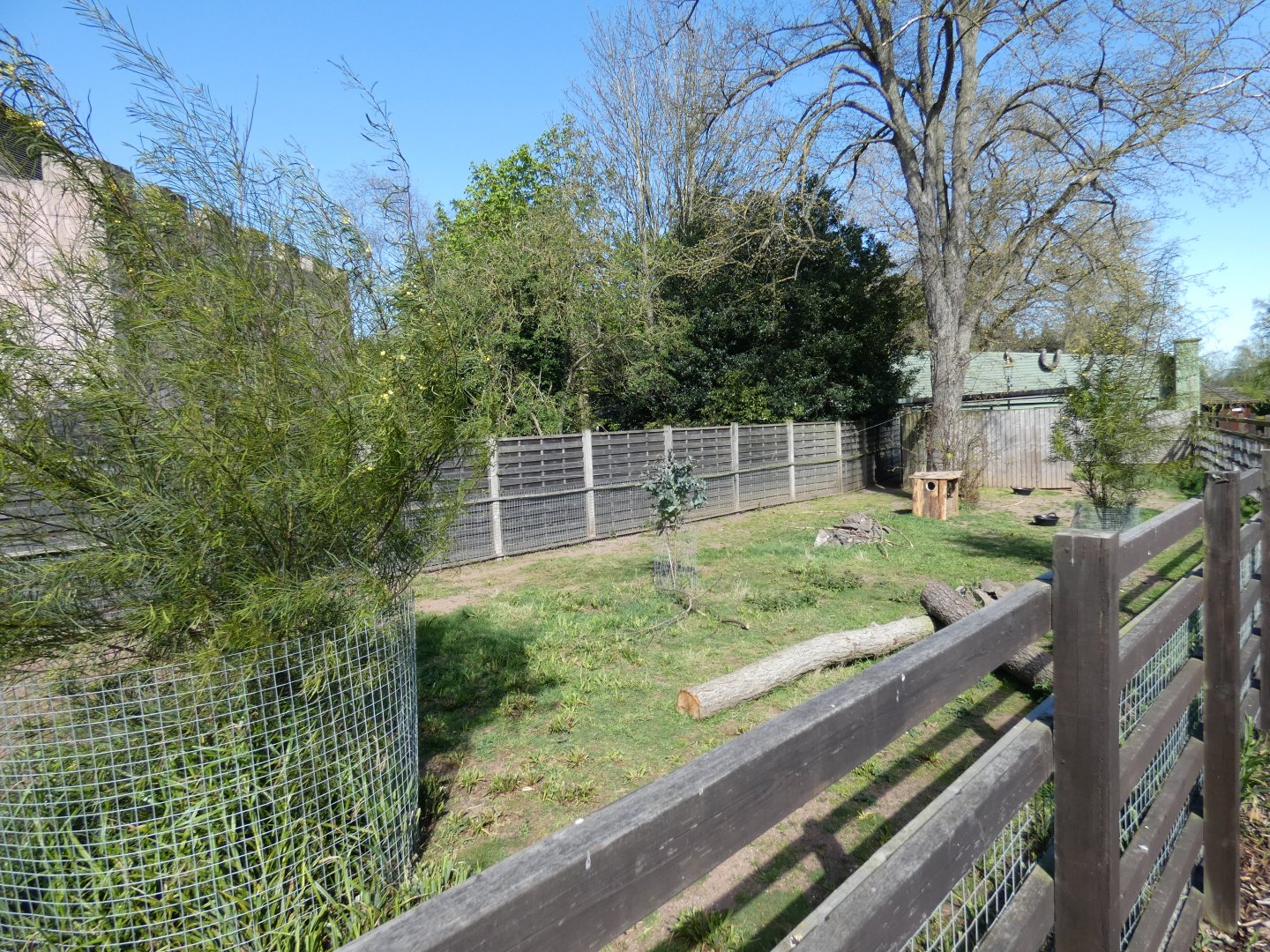 Dusky pademelon enclosure