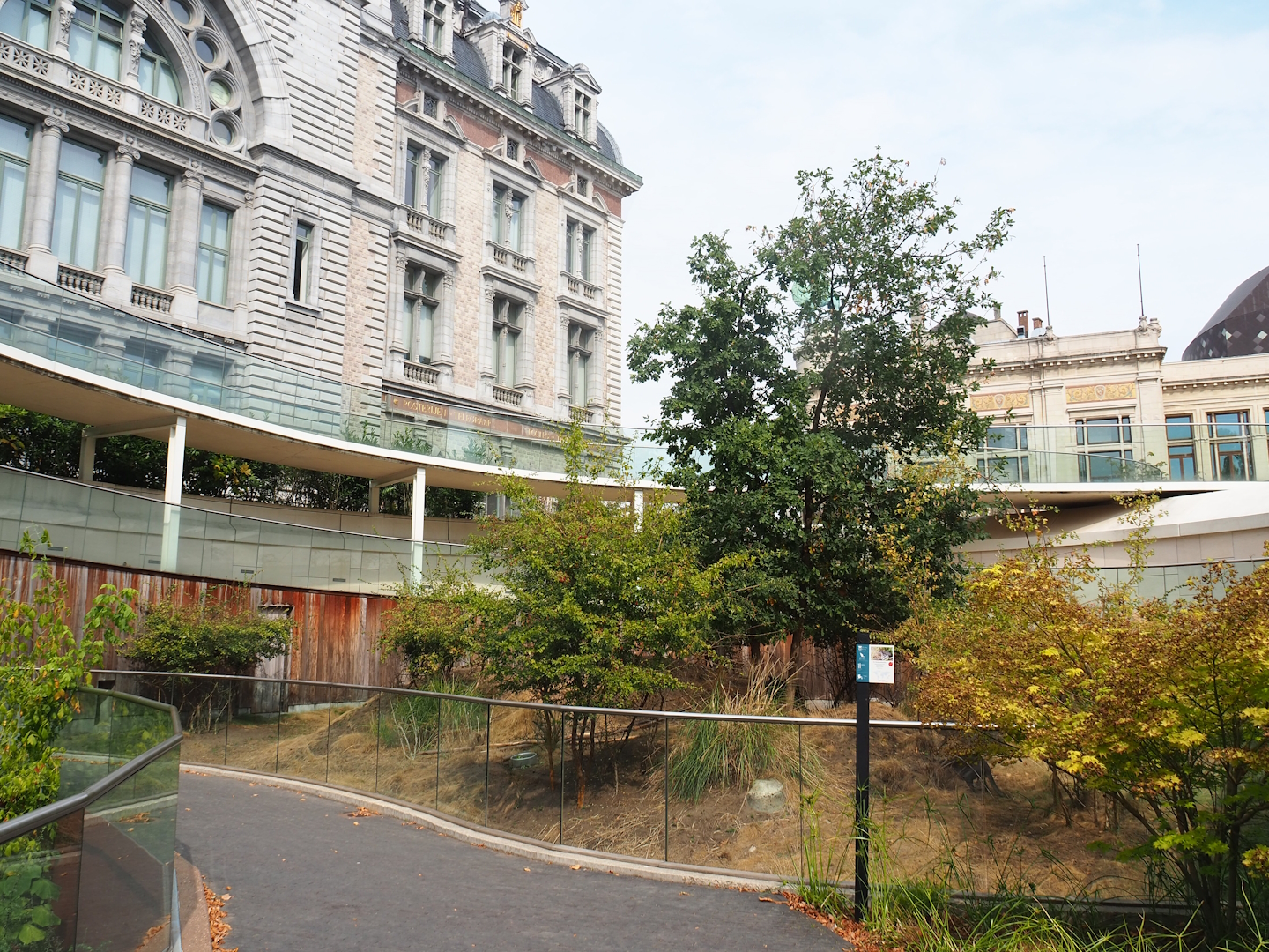 Dusky pademelon exhibit at the time, now home to Reeves's muntjac, 2022-08-16