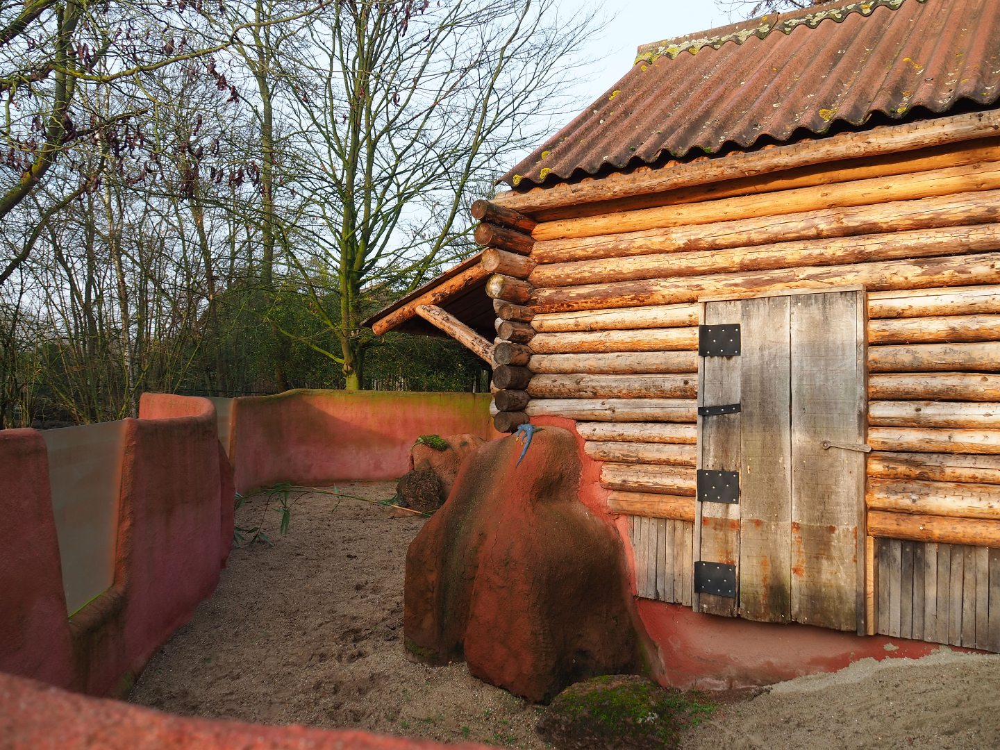 Dusky pademelon exhibit (formerly wombat), 2019-12-28