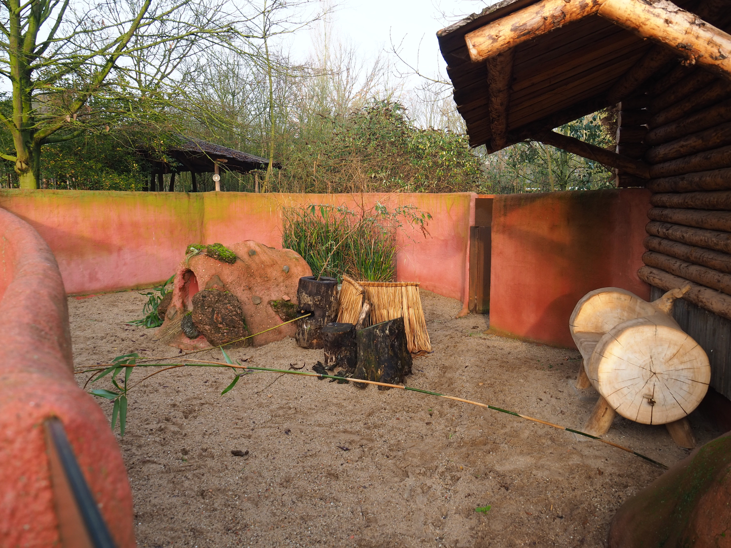 Dusky pademelon exhibit (formerly wombat), 2019-12-28