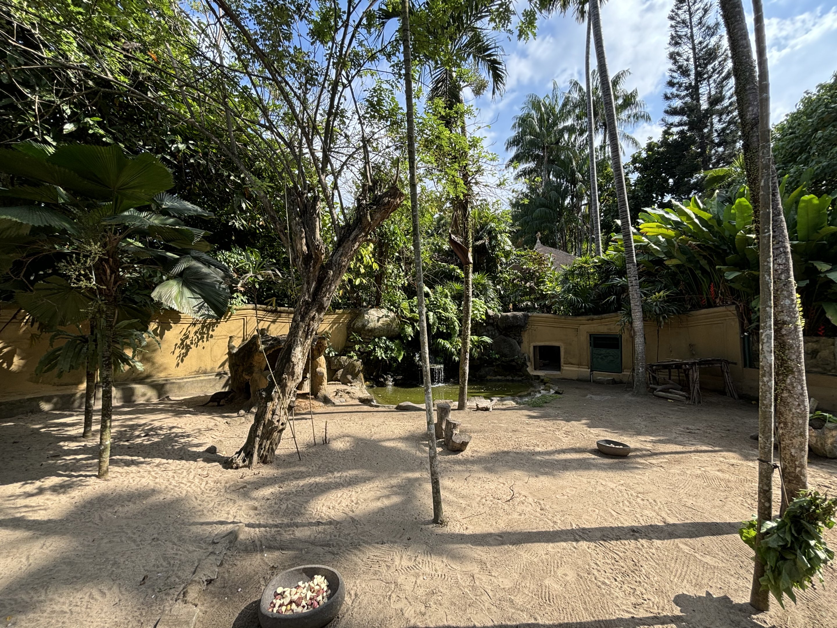 Dusky Pademelon Exhibit