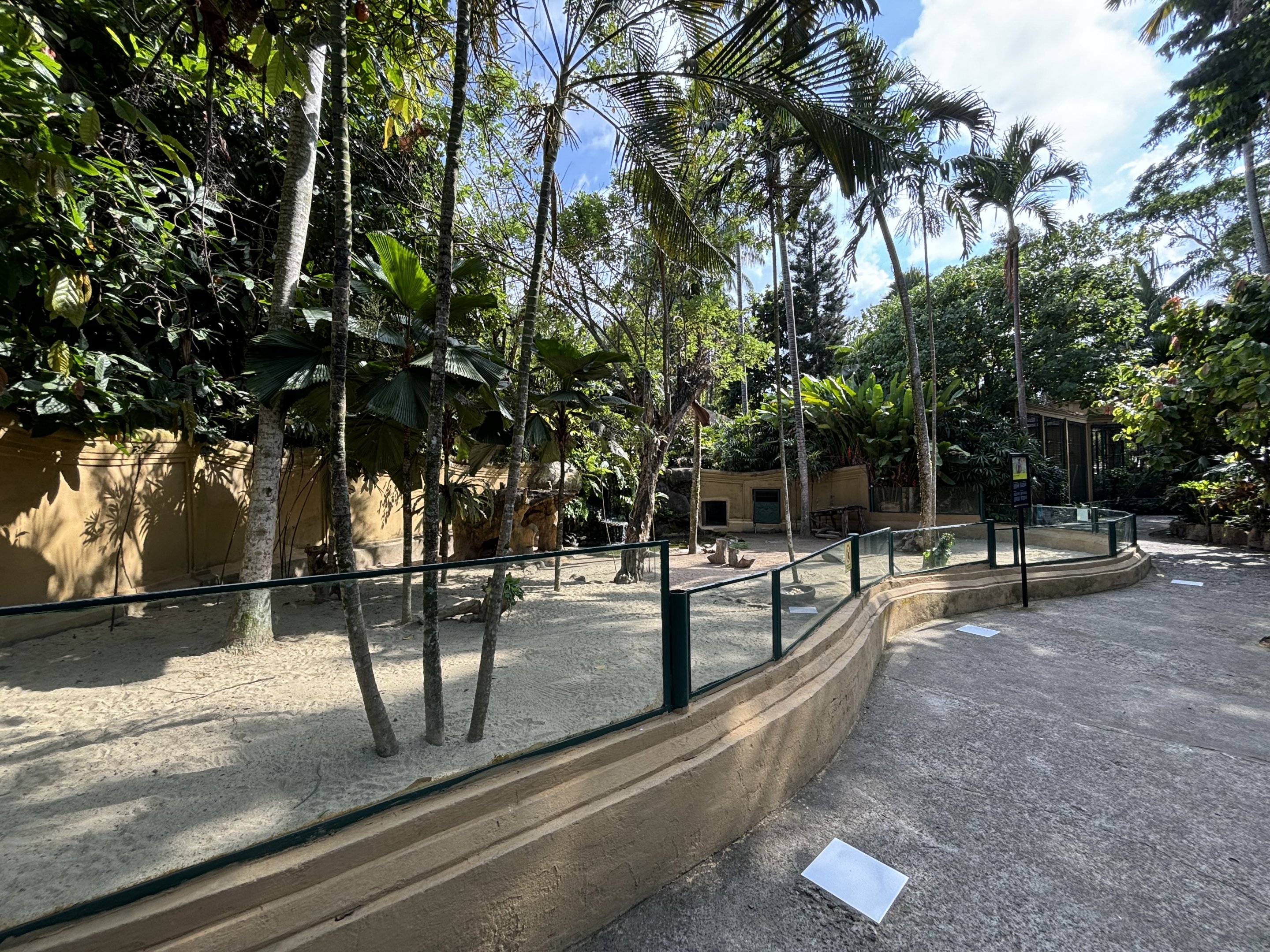 Dusky Pademelon Exhibit