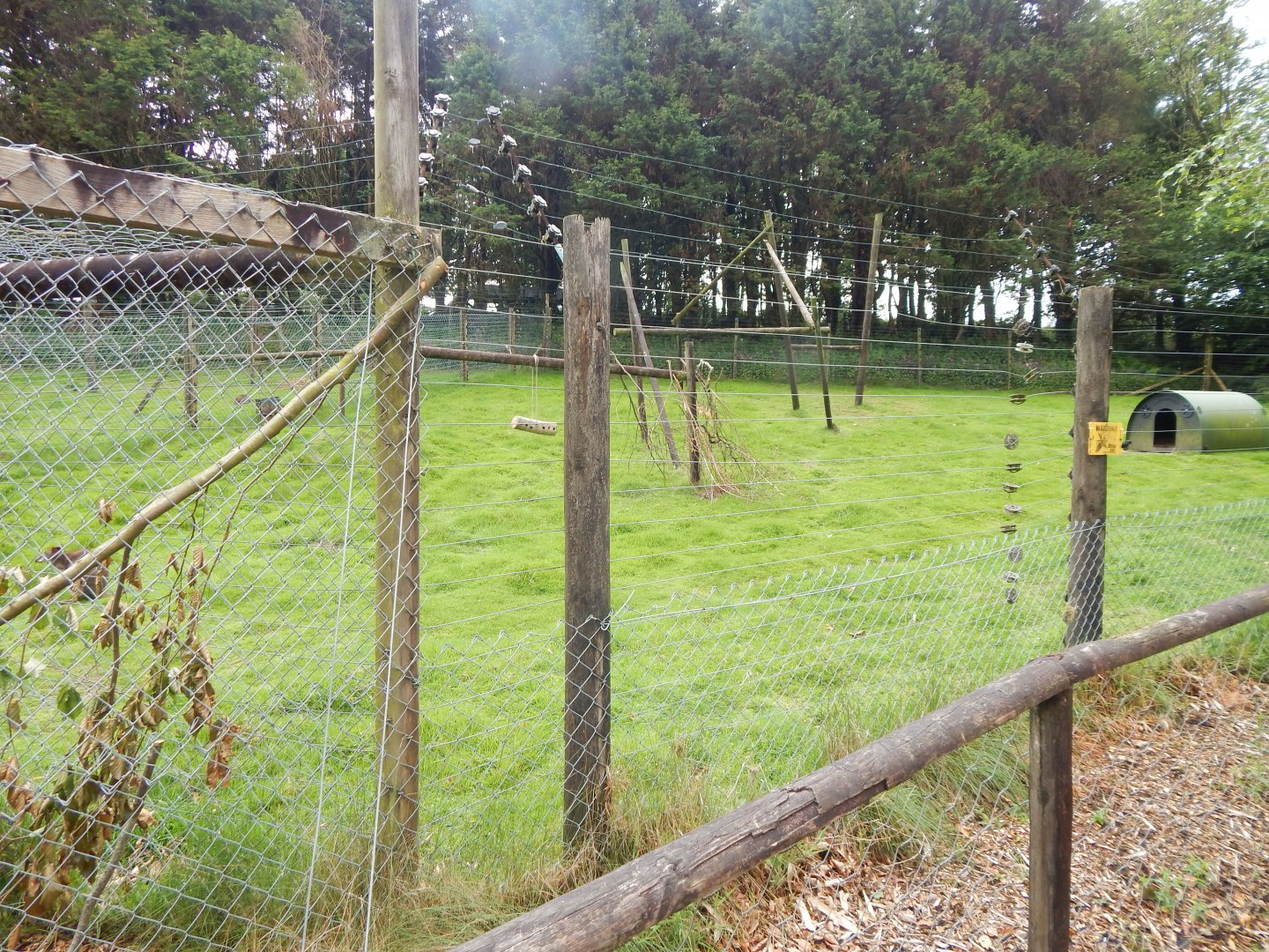 Dusky pademelon/Parma wallaby enclosure 050625