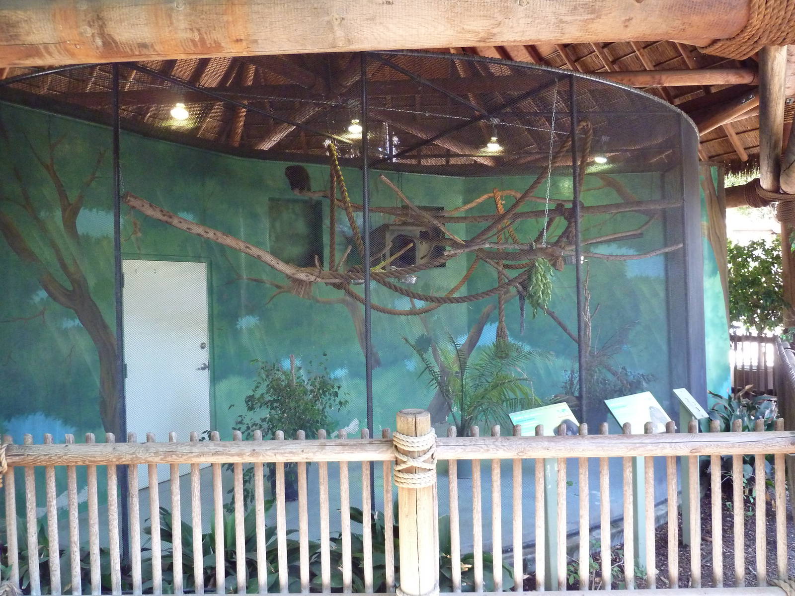 Dusky Titi Monkey/Owl Monkey Exhibit