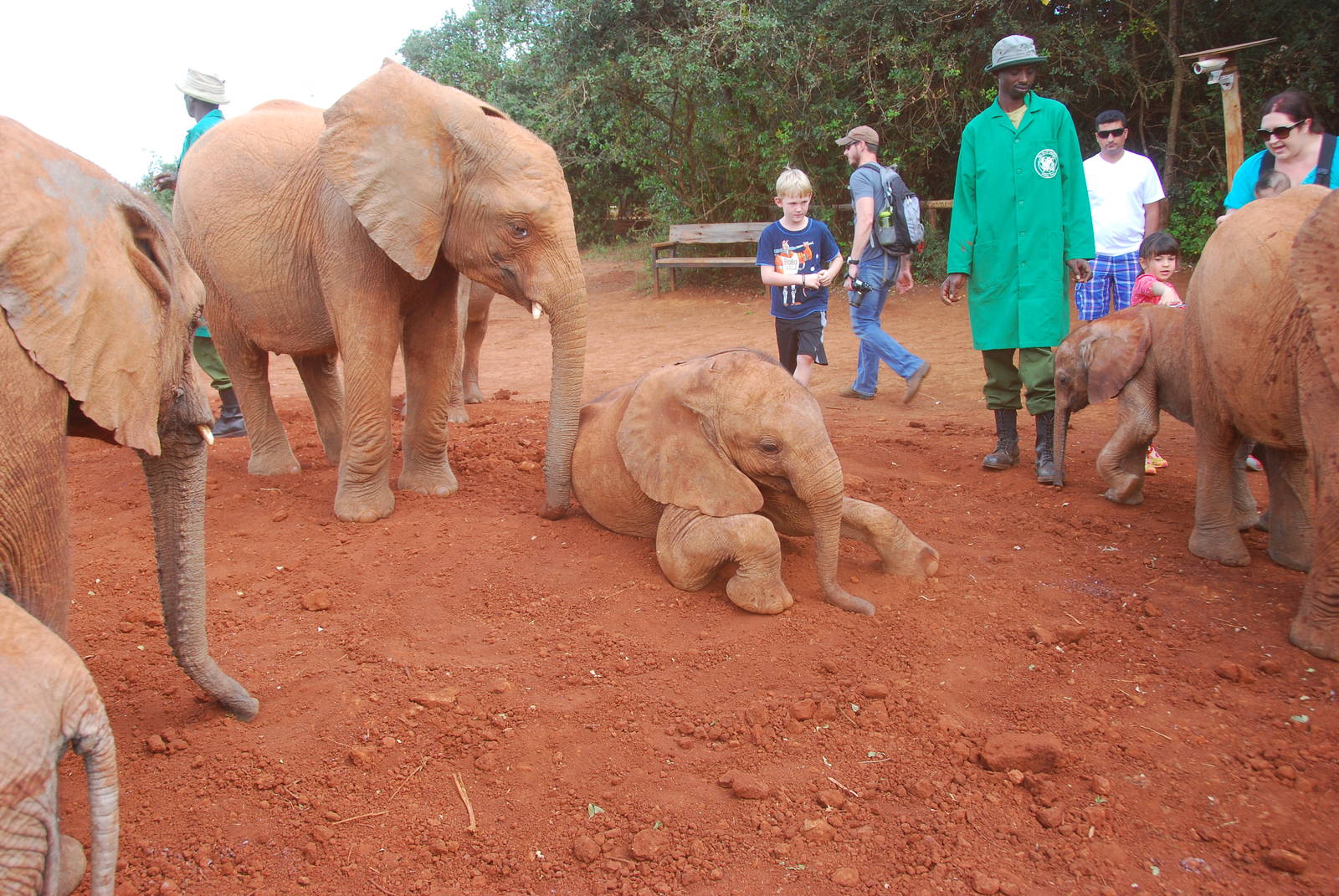 Dust Bath and Public Interaction