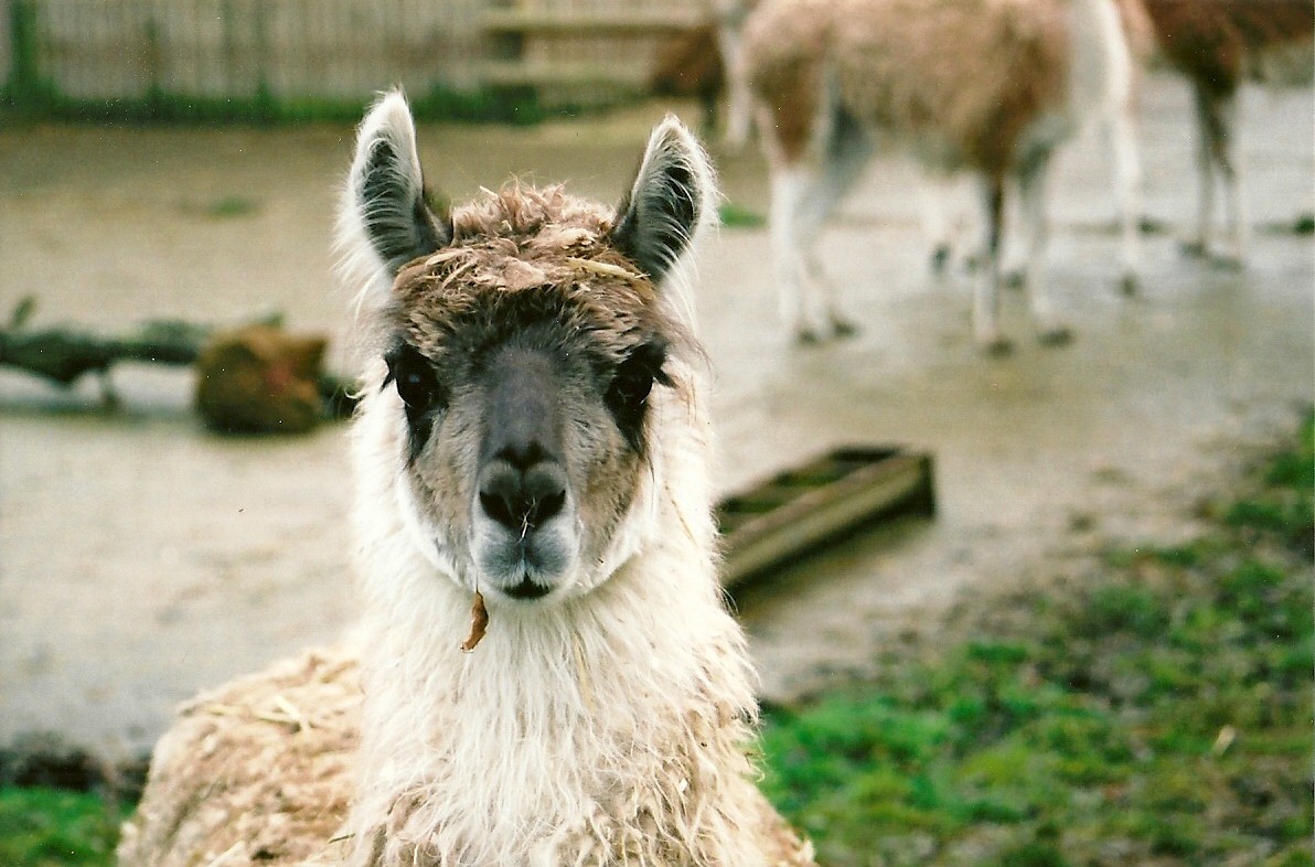 Dustin winter opening 2005/06