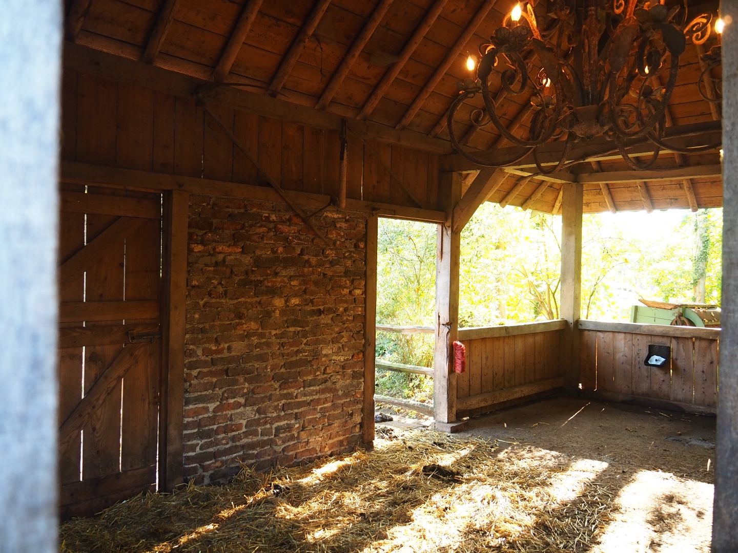 Dutch Belted cow barn (Oct 13th, 2018)