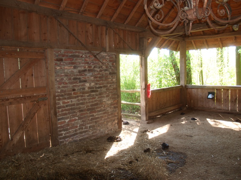 Dutch belted cow stable (May 2nd, 2015)