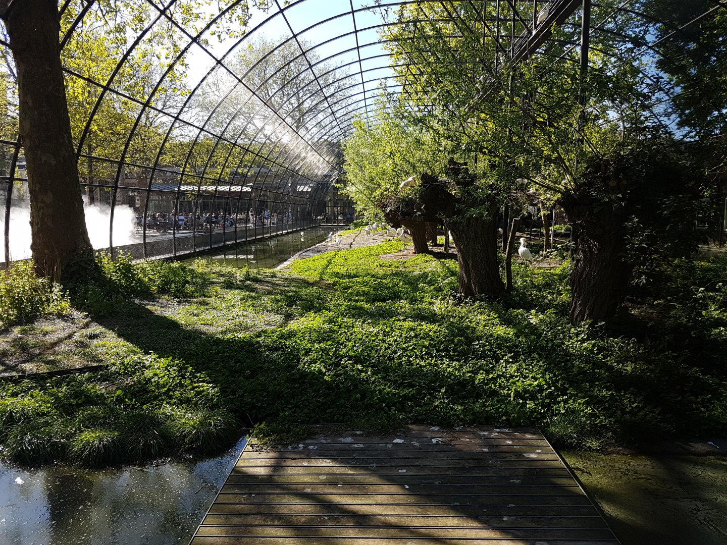 Dutch grassland aviary