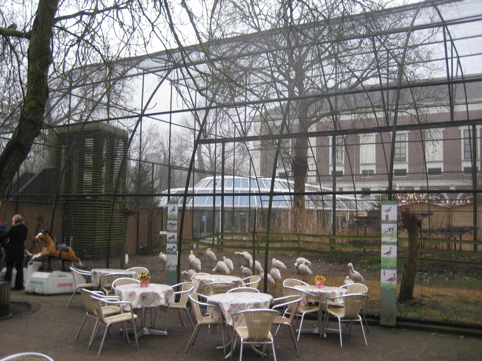 Dutch grassland bird aviary
