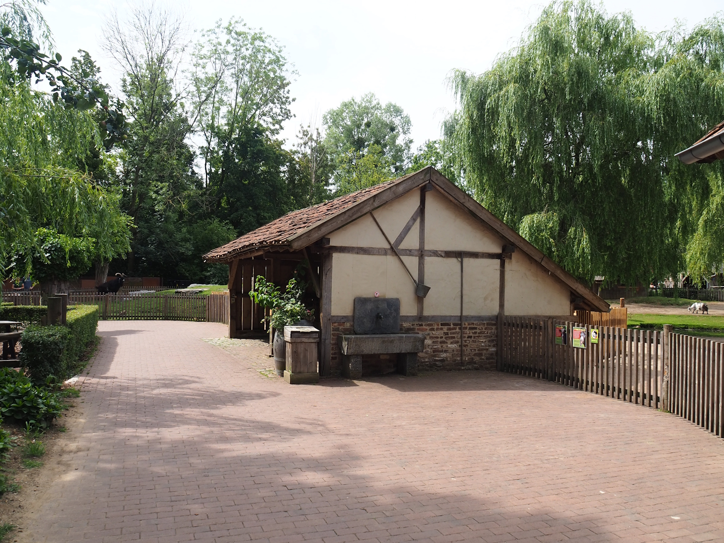 Dutch Landrace goat barn, 2023-07-18