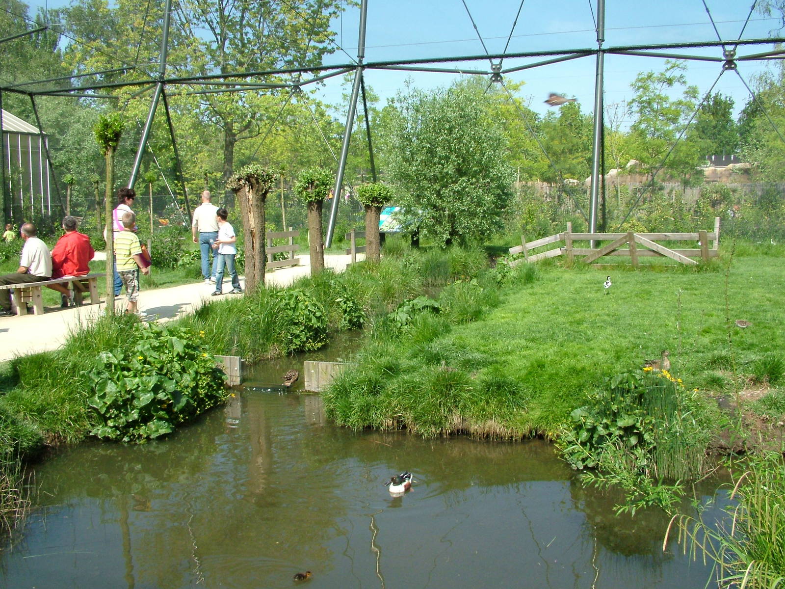 Dutch Meadow aviary at Rotterdam 10/05/09