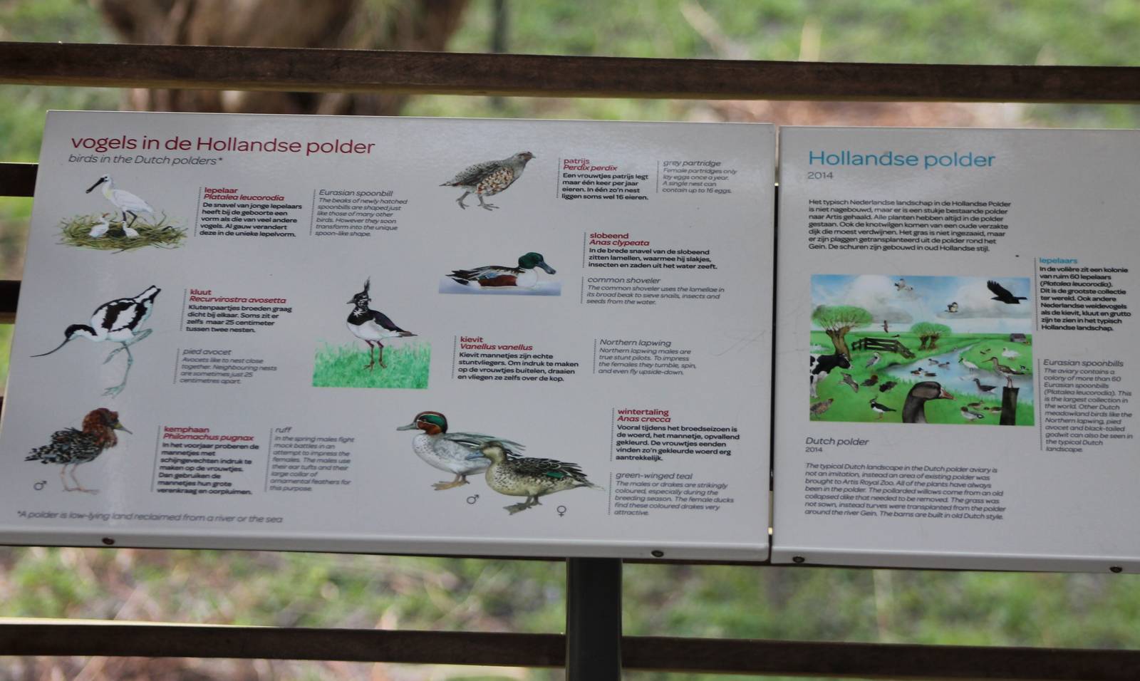 Dutch polder bird-sign