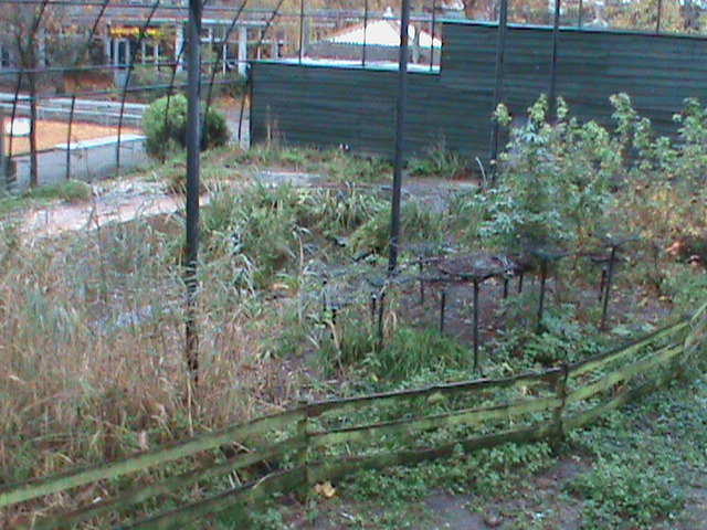 Dutch Wetlands Aviary 061110