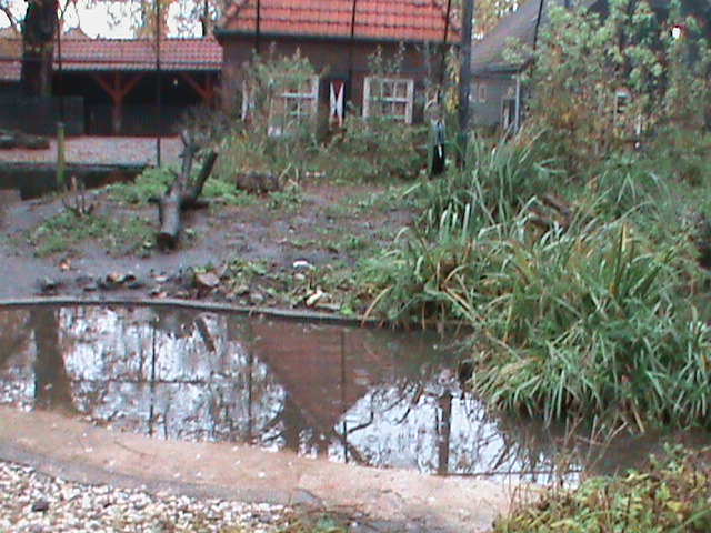 Dutch Wetlands Aviary 061110