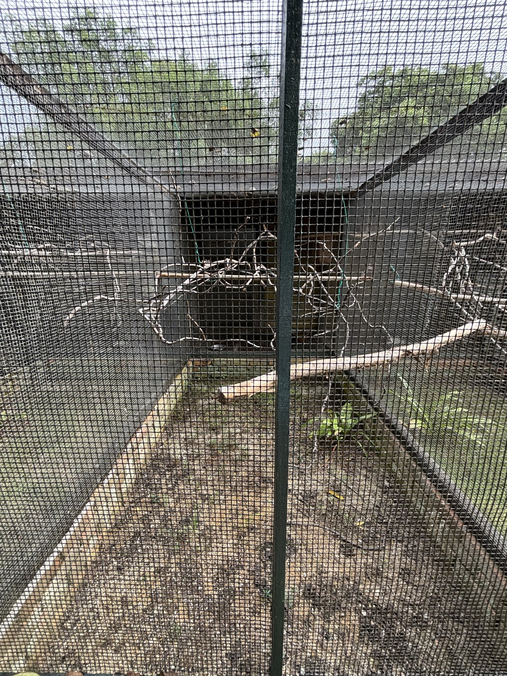 Duyvenbode’s Lory Aviary