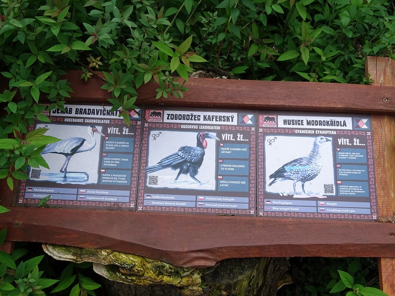 Dvur 05/2018: Signage examples