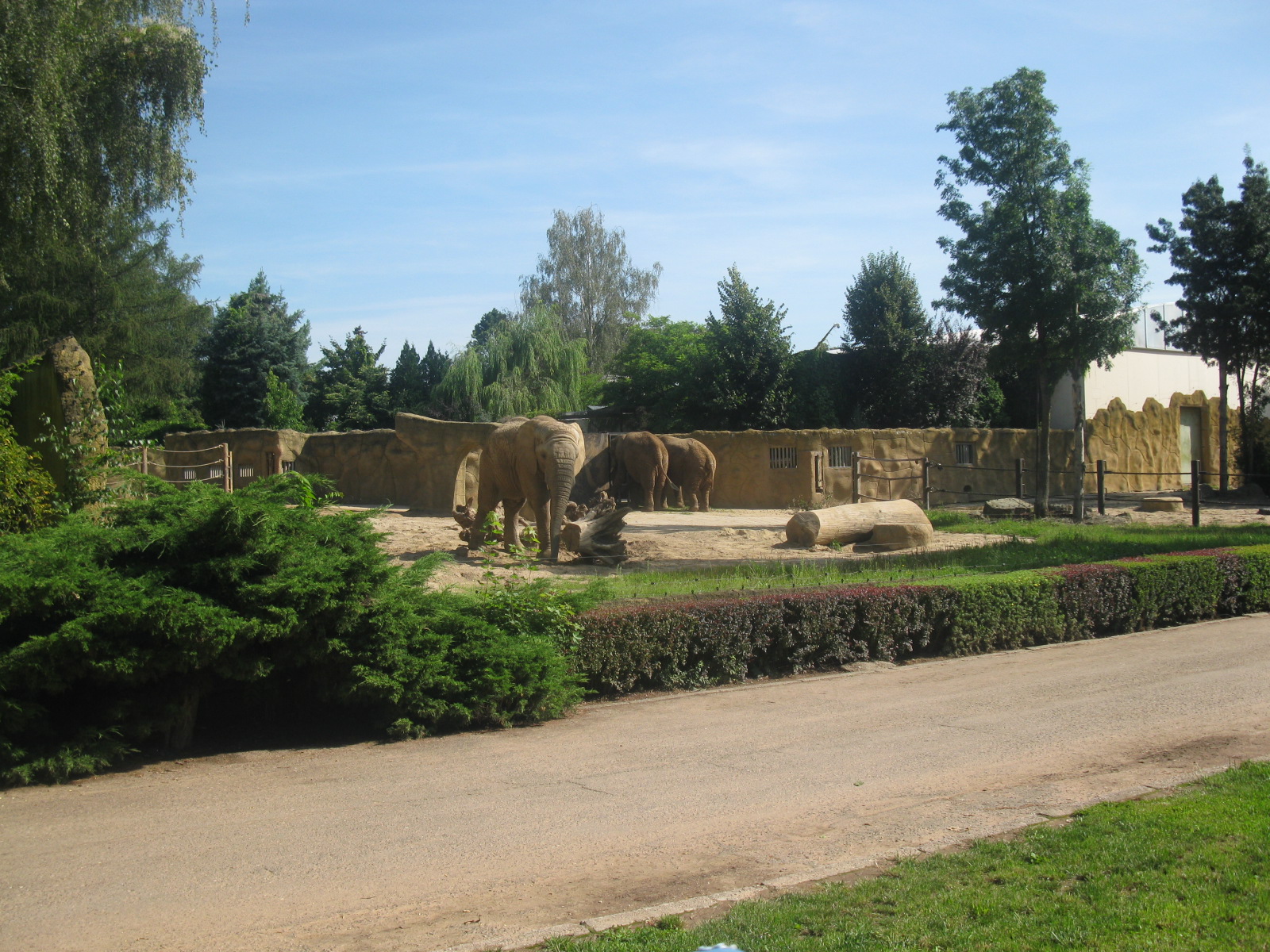 Dvur Kralove Elephants