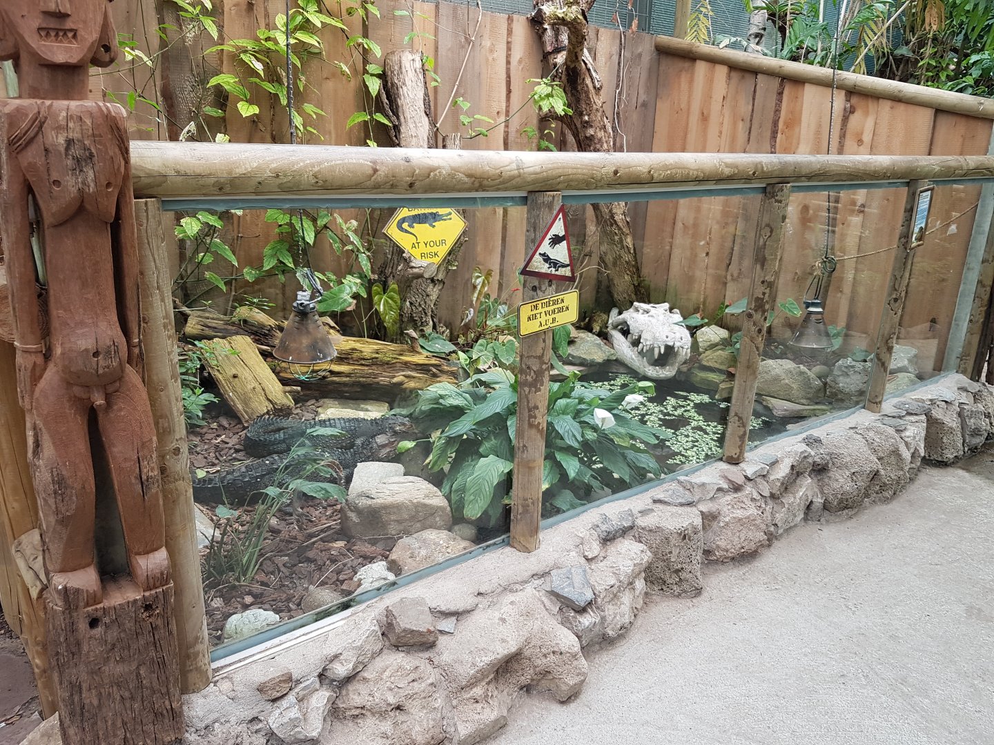 Dwarf-caiman enclosure