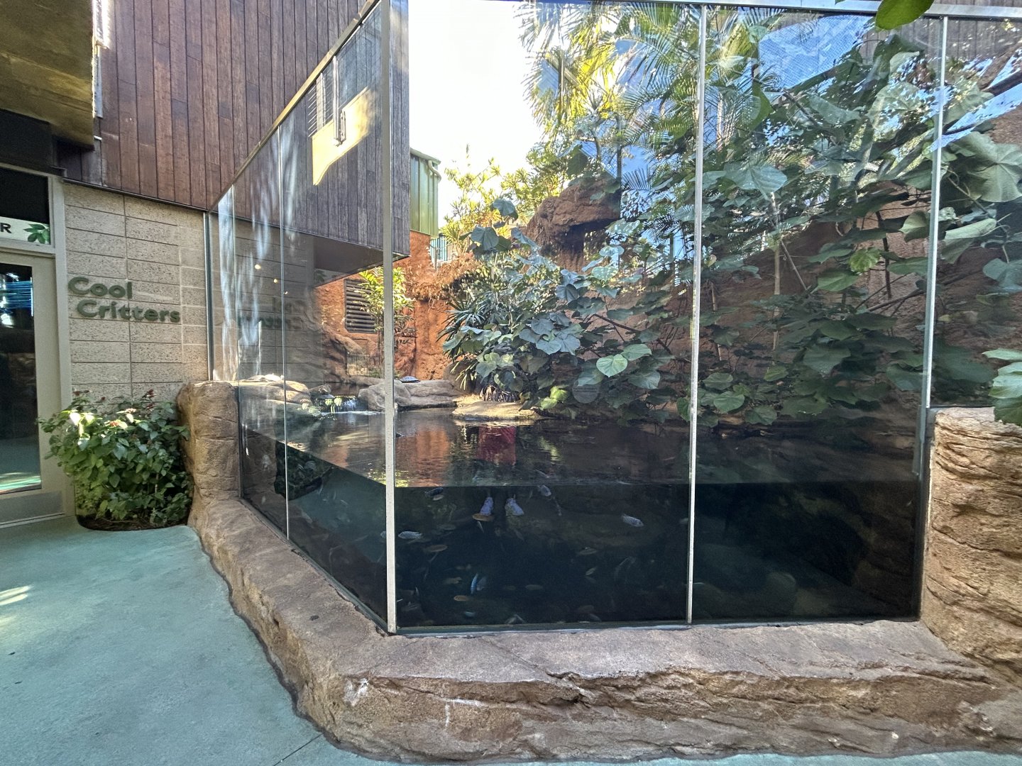 Dwarf Caiman Exhibit - Wildlife Explorers Basecamp