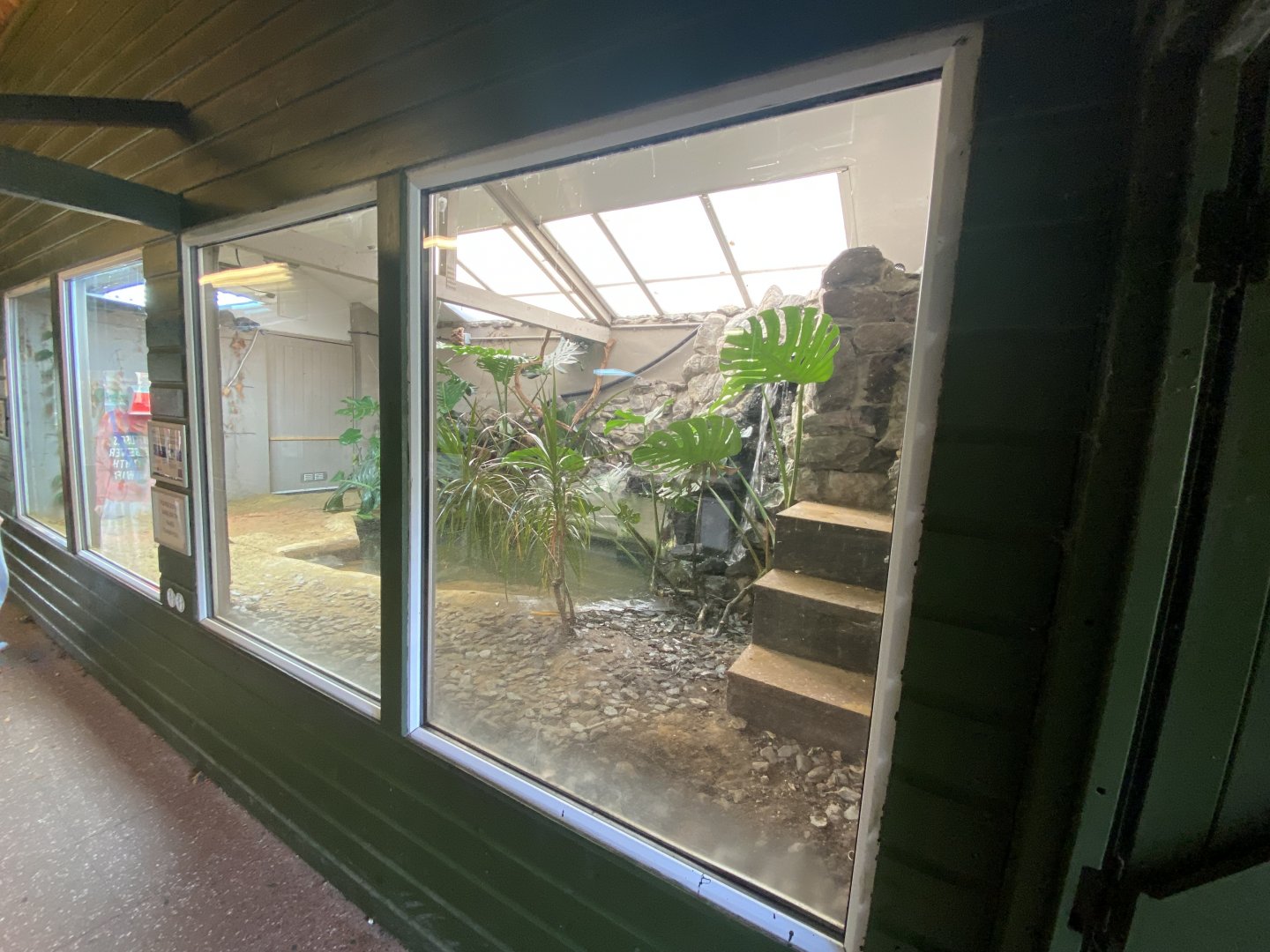 Dwarf crocodile exhibit 071121