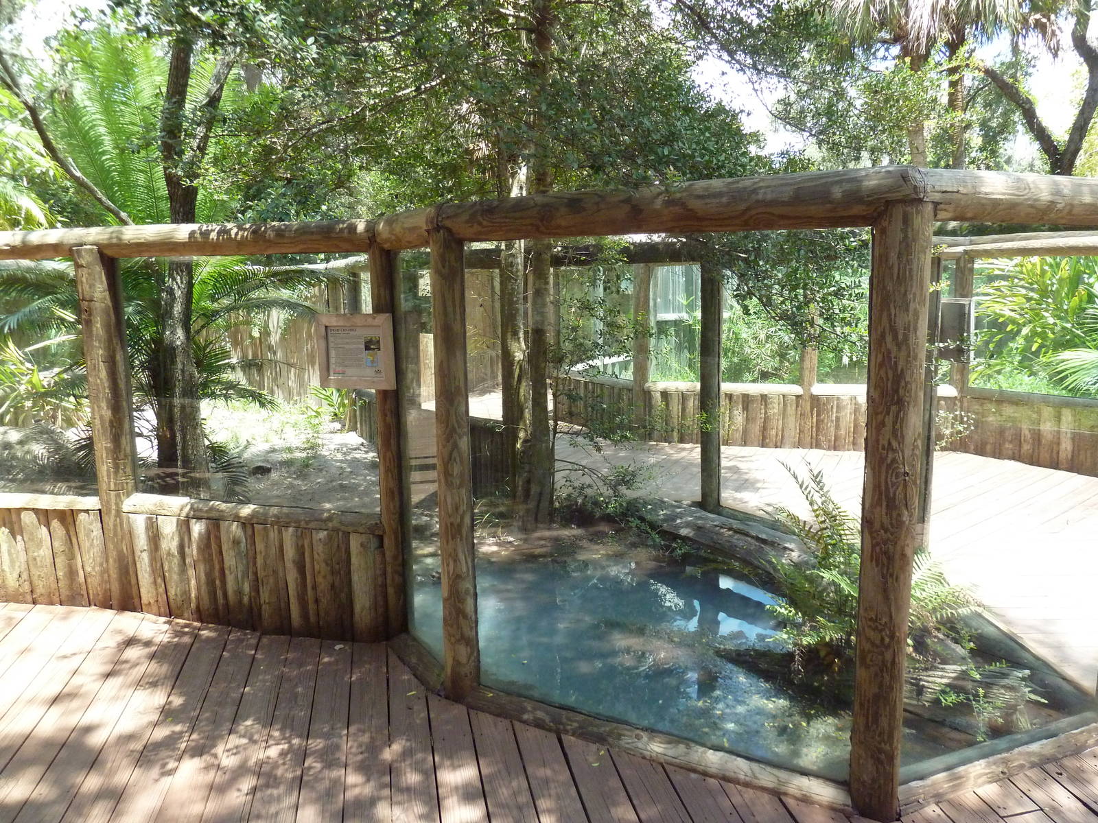 Dwarf Crocodile Exhibit