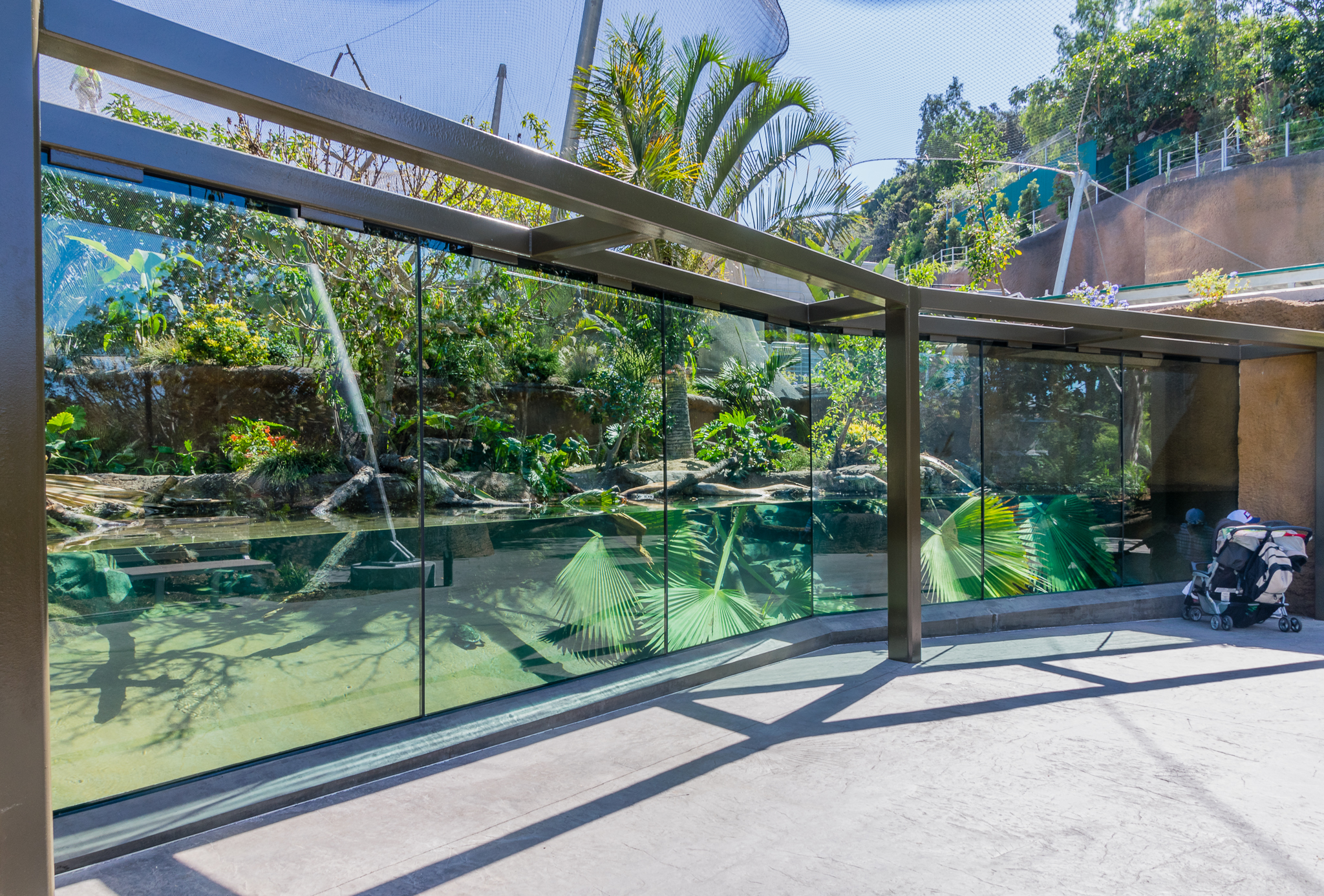 Dwarf crocodile exhibit