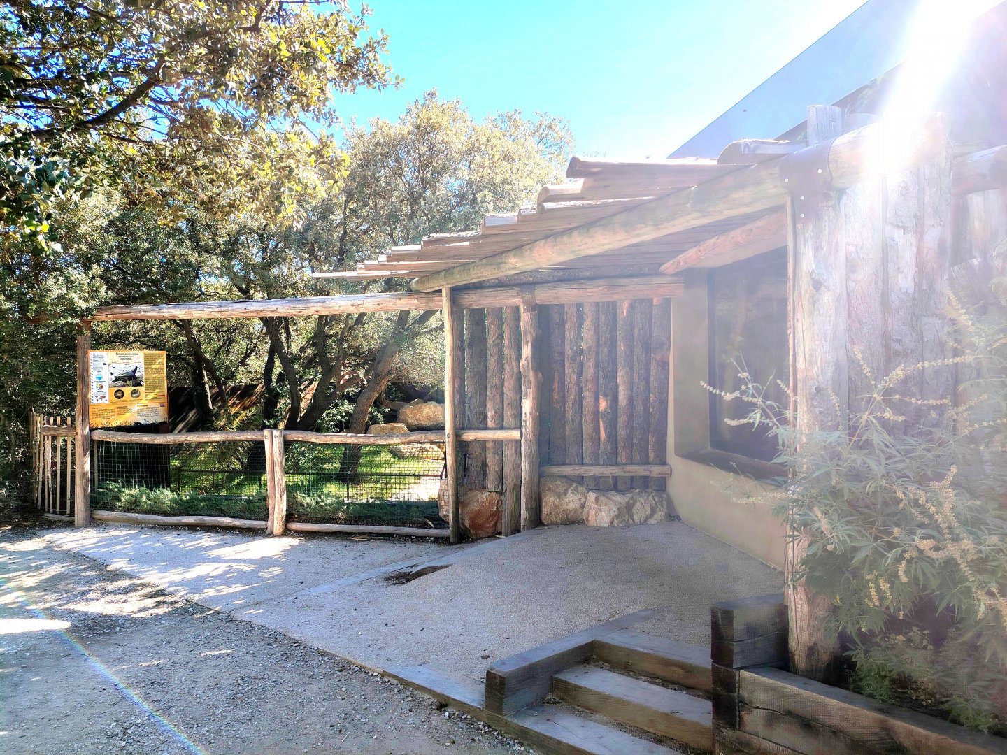 Dwarf Crocodile Exhibit