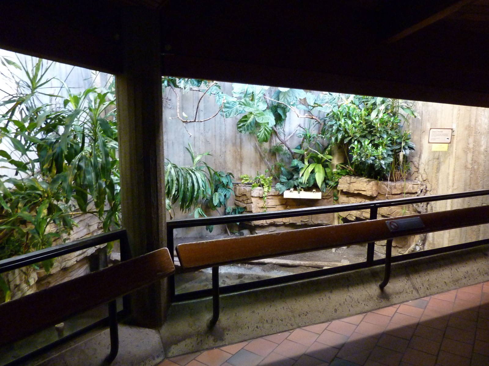 Dwarf Crocodile Exhibit