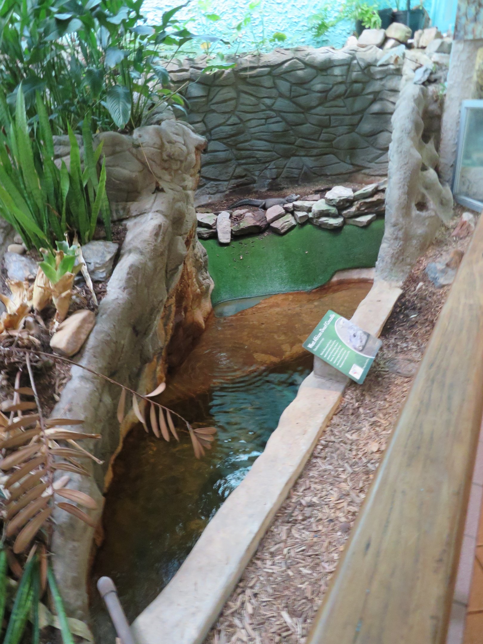 Dwarf Crocodile Grotto