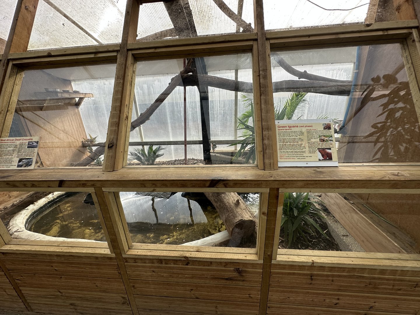 Dwarf Crocodile / Iguana Enclosure at Johnsons of Old Hurst (October 2023)