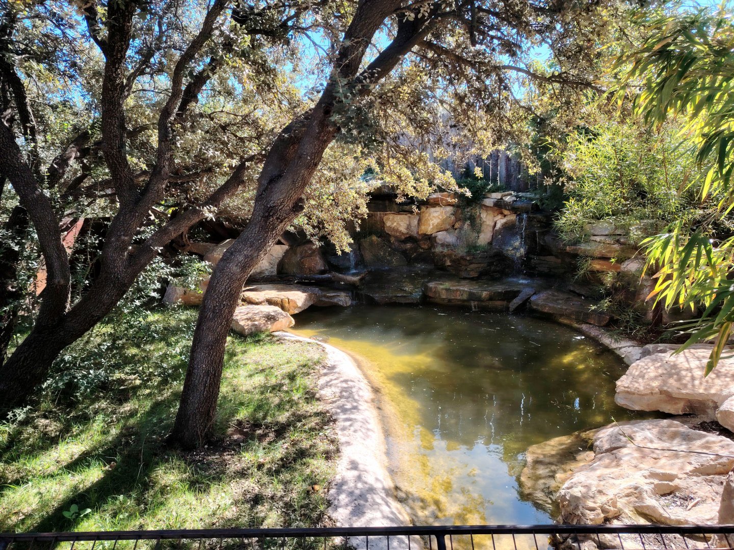 Dwarf Crocodile Outdoor Exhibit