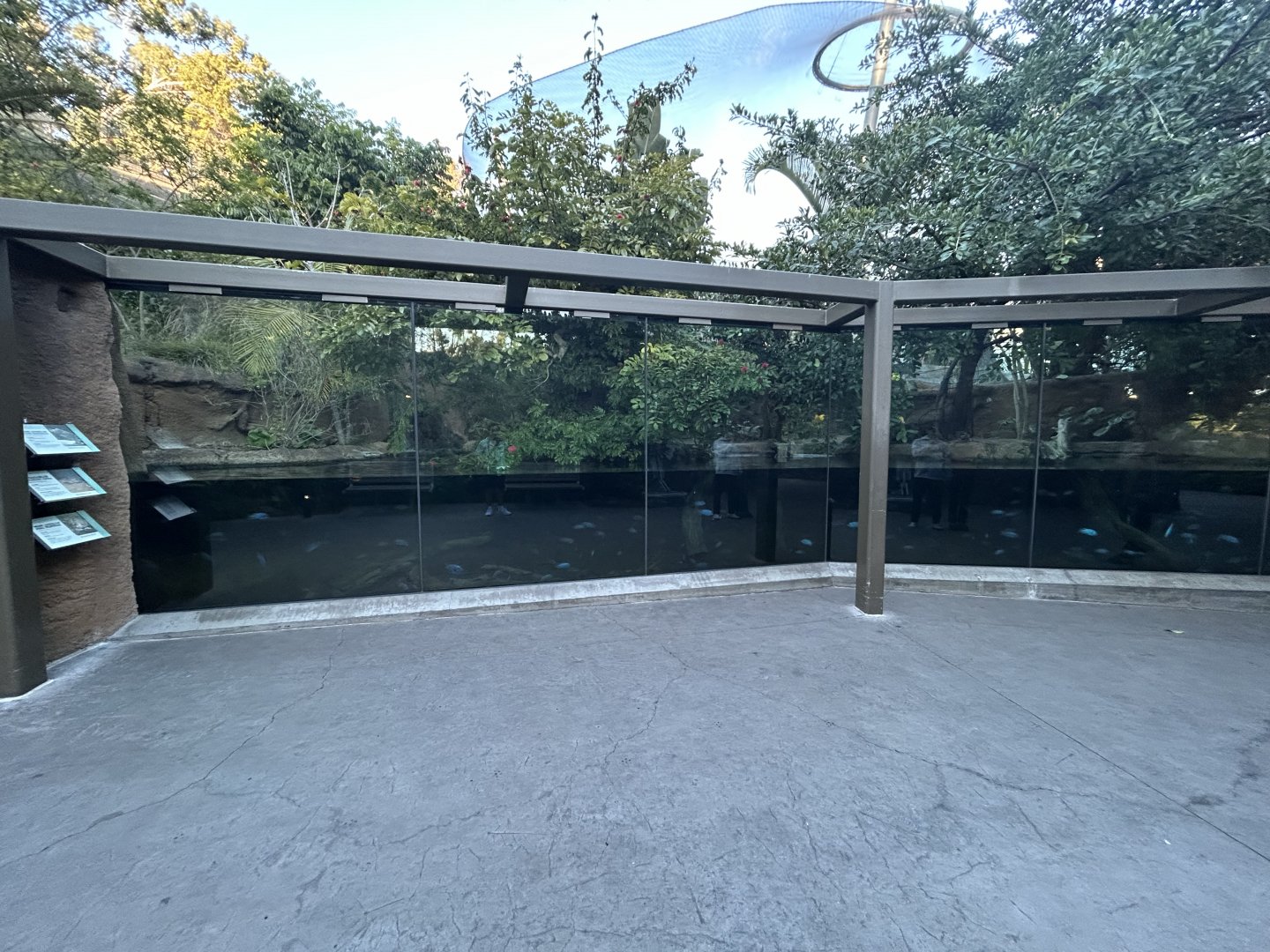 Dwarf Crocodile & Turtle Exhibit - Africa Rocks