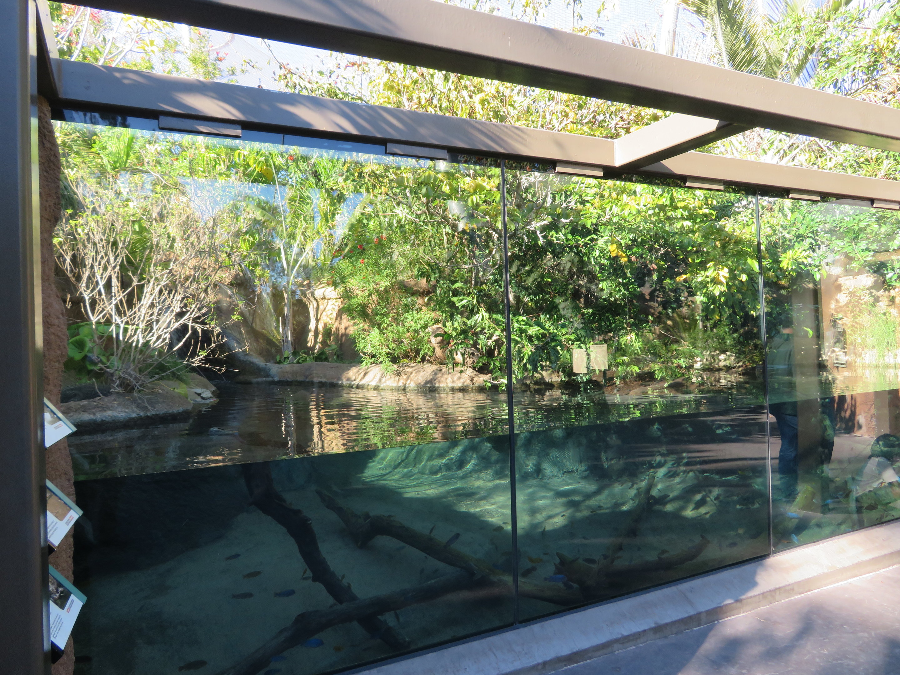 Dwarf Crocodile/Turtle Exhibit
