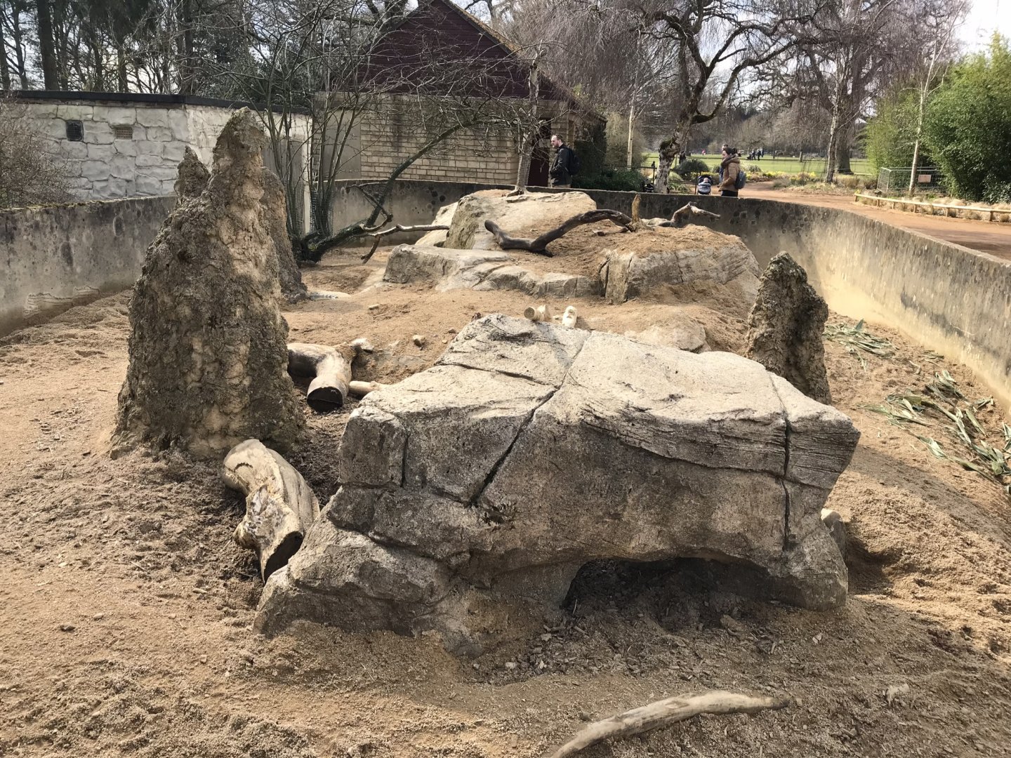 Dwarf mongoose and African crested porcupine exhibit 250318