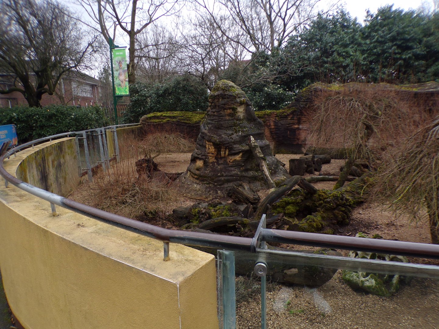 Dwarf mongoose enclosure 11.2.25