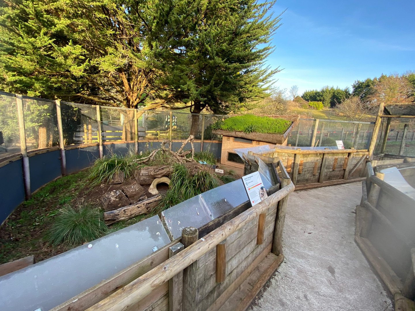 Dwarf mongoose enclosure 161222