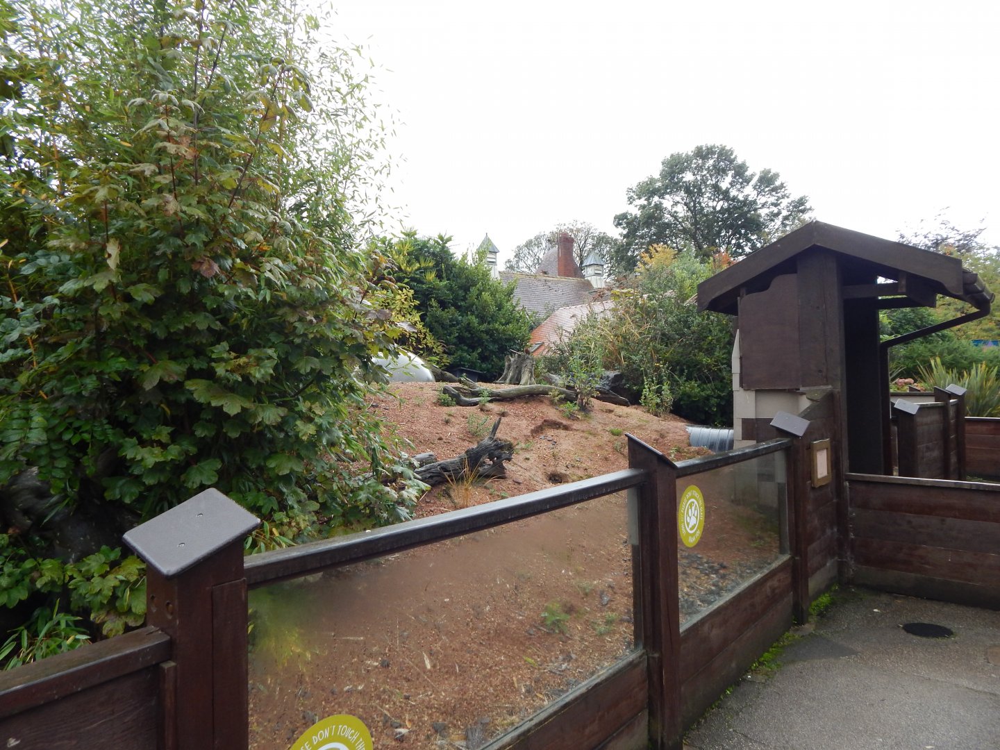 Dwarf mongoose enclosure 191021