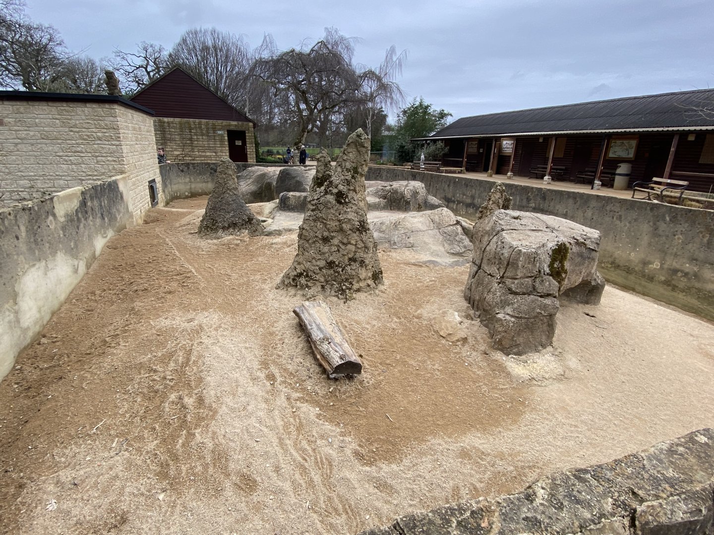 Dwarf mongoose enclosure 280222