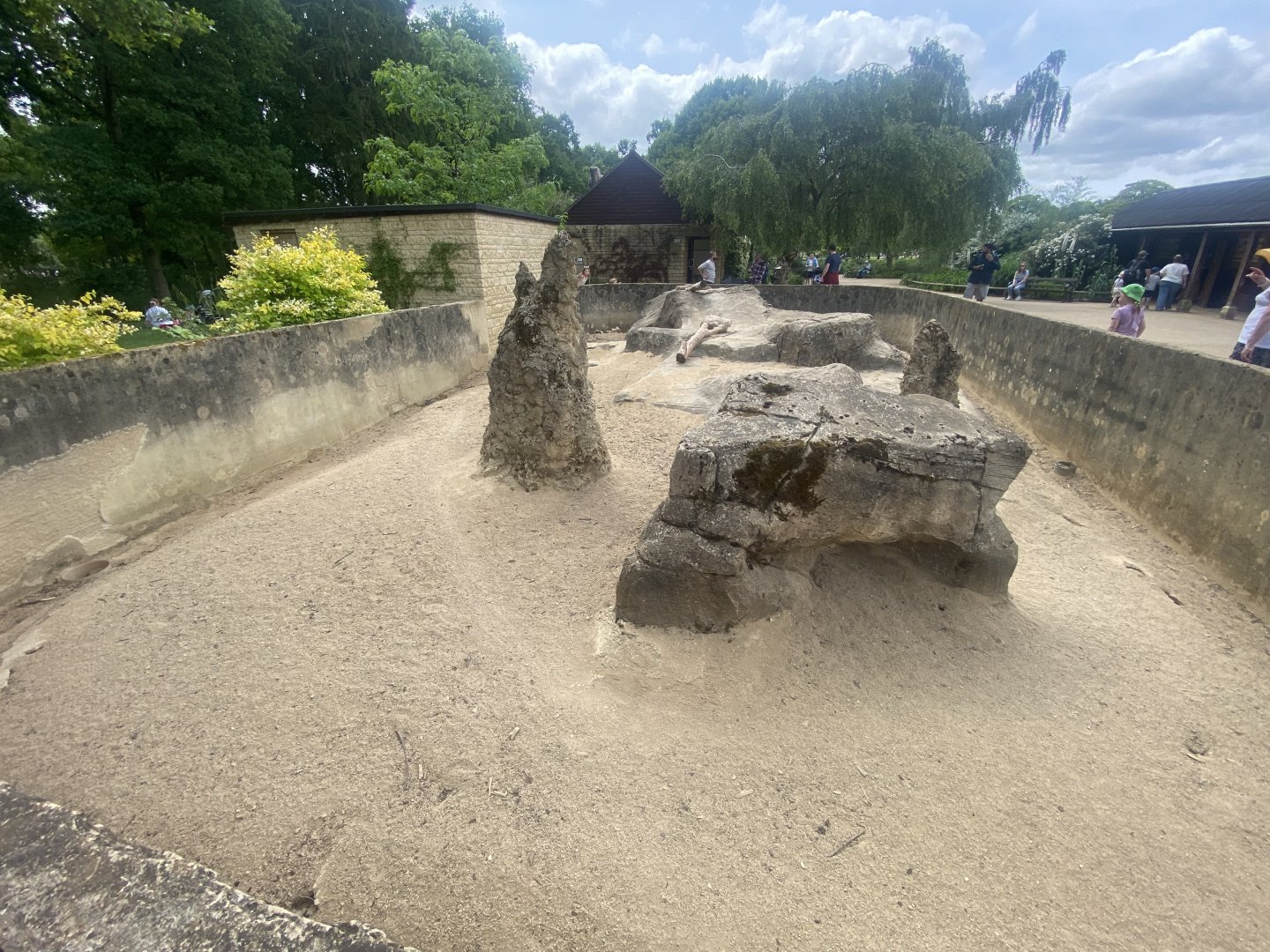 Dwarf mongoose enclosure 310525