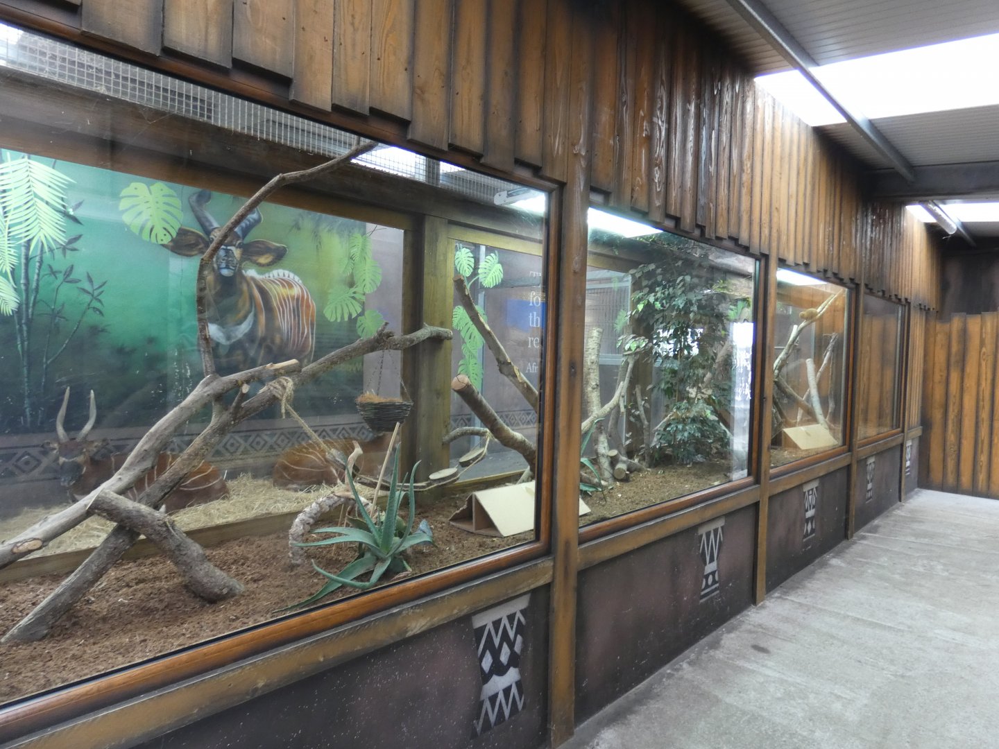 Dwarf Mongoose enclosure and indoor Bongo viewing area
